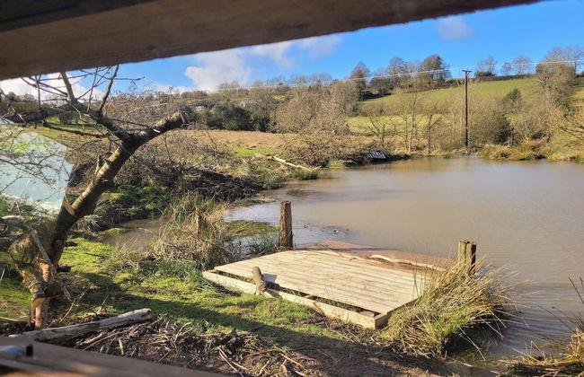 Eco Accommodation Cornflower Holiday - Foto 33