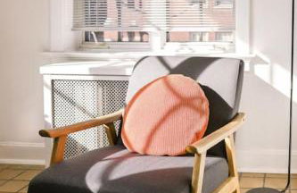 Hyde Park Comfort with Office Near Everything - Photo 27