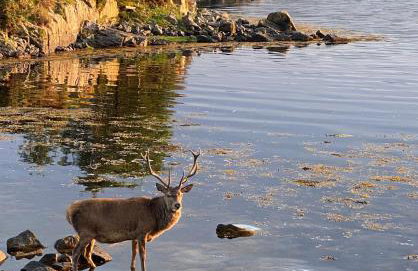 Tigh na Breac - Great Outdoor Activity Location Oban - Foto 72
