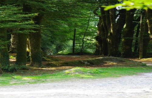 Stone House in Huelgoat, Brittany - Foto 34