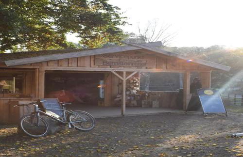 Chalet in Wendorf - Photo 17