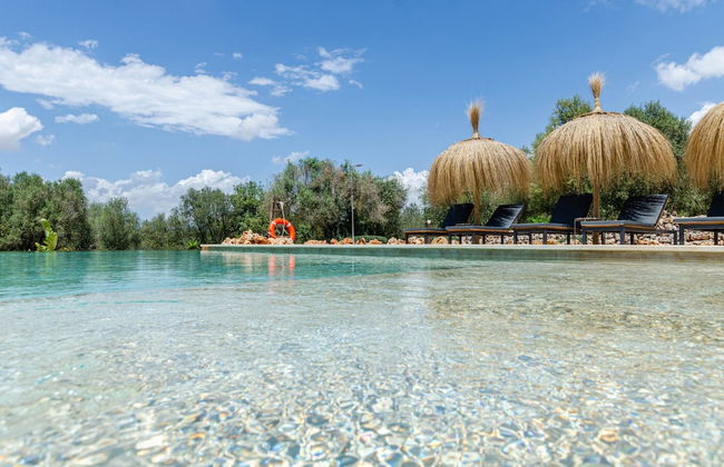 Cozy Farmhouse in Nature - Photo 12