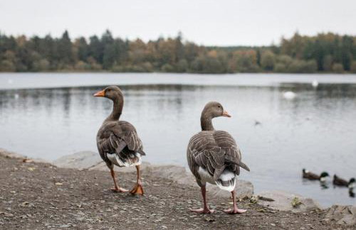 Bay Tree Cottage - Foto 96