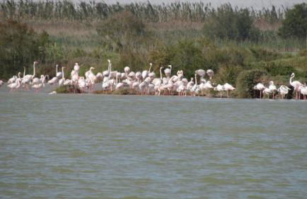 Casa Nettuno - Foto 17