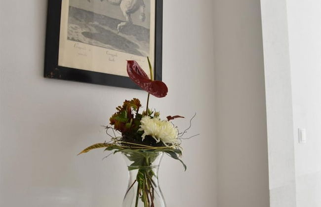 Villa Albrechtsburg - Foto 50