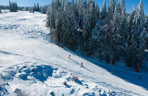 Ferienwohnung Passhöhe - Familien- Wander- und Skiurlaub - Hochschwarzwaldcard - Haus Wiesenquelle - Photo 29