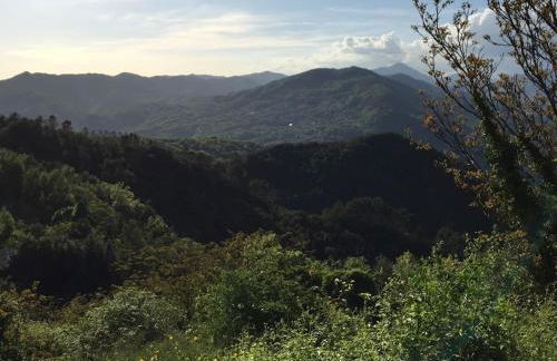 appartamento in casa medievale - Foto 31