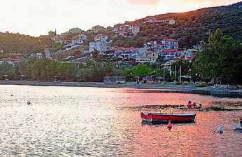 Alexander's - Foto 30