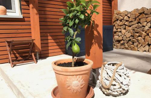 Villa Kerzenheimer Tor - Foto 10