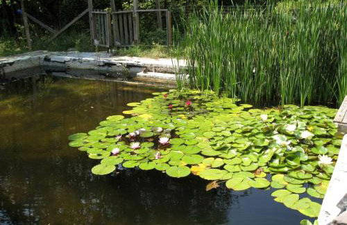 Rustic Couples' Cabin for Idyllic Catskills Getaway, Upstate New York - Foto 17