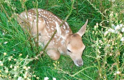Ferienhof Niemann Wohnung 7 - Foto 20
