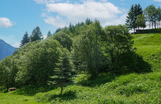 Rustico Tecc Berbis - Photo 21