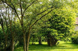 Huus ant Dörpsdiek - Foto 8