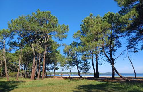 Magnifique villa avec piscine - Foto 50