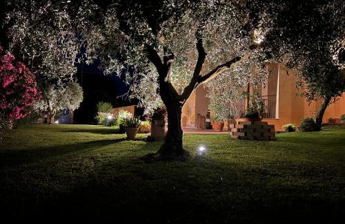 Agriturismo Il Giardino Degli Olivi Appartamenti - Foto 5
