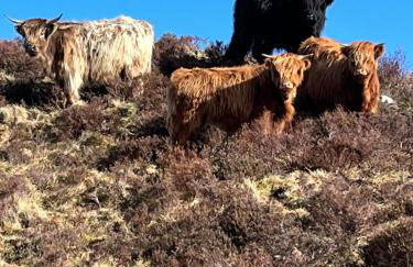 Bonnie Brae Croft Bothies - Foto 3