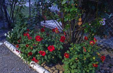 Zeleni raj - Foto 13