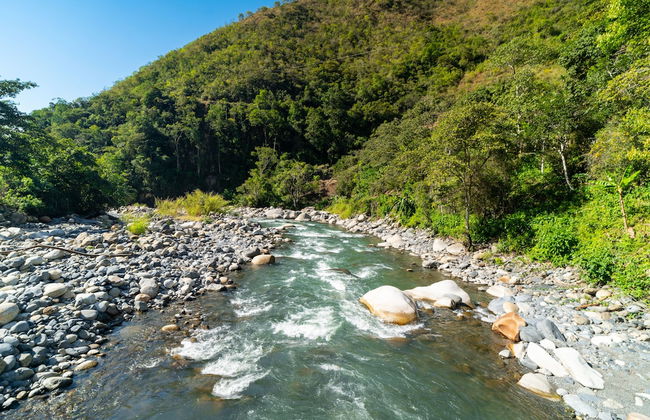 Casa de campo Los Yungas - Photo 35