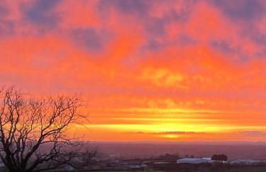 The Beehive at Pudding Cottage - Foto 30