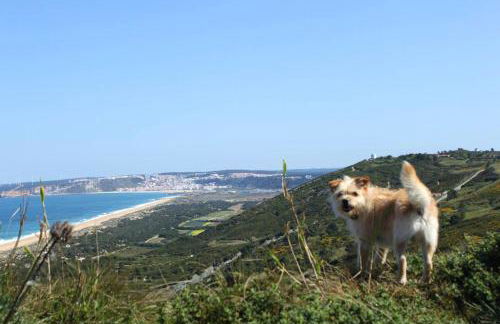 Charming House in Nazaré with Fireplace - Foto 25