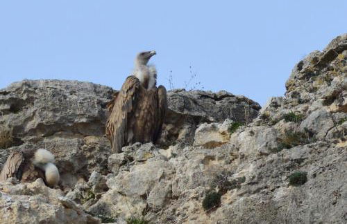 Casa Fuentes de Ledina - Photo 35