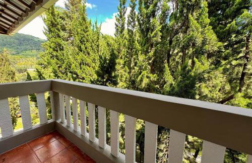 Sítio Exclusivo com Área Gourmet, Piscina e Natureza - Foto 22