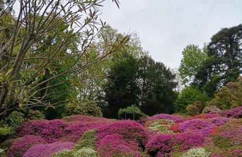 La casa al lago BMOR love&lake - Foto 48