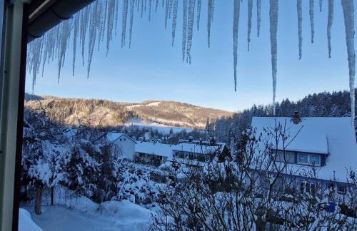 Birkenstübchen - Foto 50