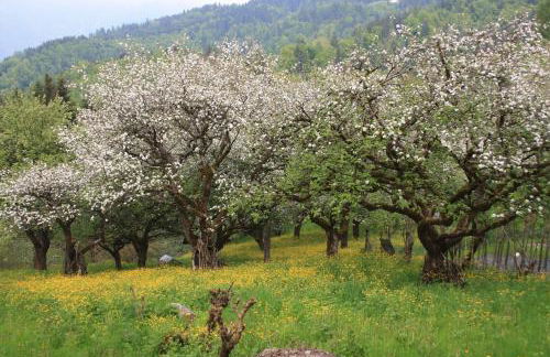 Baita Agaz - Foto 46