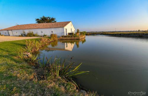 Gites De La Grande Borderie - Photo 1