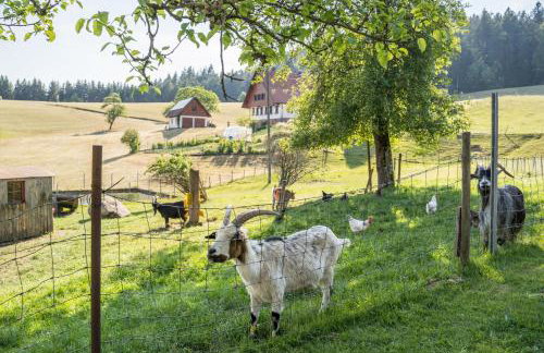 Klausenhansenhof - Foto 23