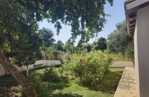 Villa Xampelo - Foto 23