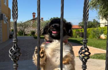 Apartment Lea, Cepljani - Foto 30