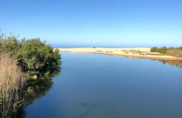 Herdade dos Salgados-Vila das Lagoas - Foto 40