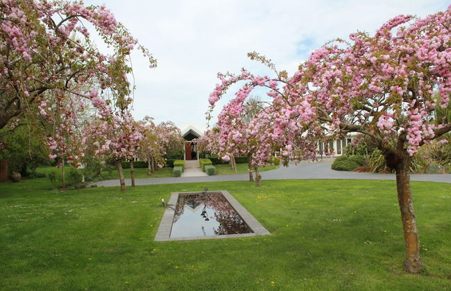 Silverstream Alpaca Farmstay and Tour - Foto 38