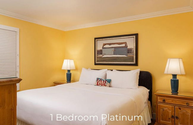 Montaneros in Vail - Foto 20