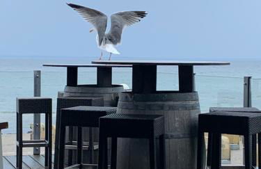 Haus Meeresbrise - Foto 23