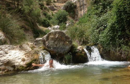 Saluda Alta - Foto 46