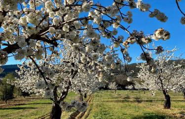 Maison de village, piscine, Colorado - Foto 34