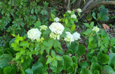 Finca Axarquía de Gredos - Photo 76