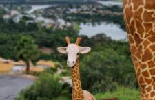 Escarpas do lago Mirante AP - Foto 32