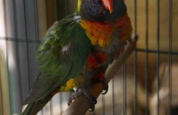 Apartamentos Paraje San Gines - Foto 43