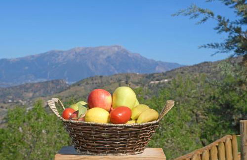 Casa Avila - Foto 43