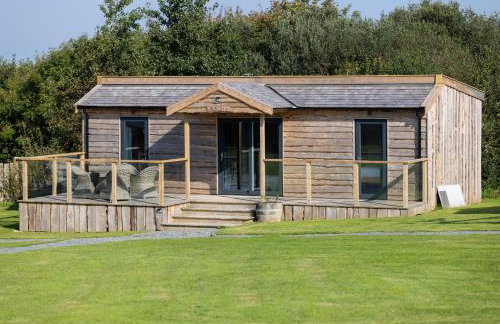 The Pig Arc - Foto 1