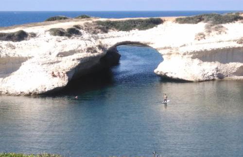 Agriturismo la Mimosa - Foto 21