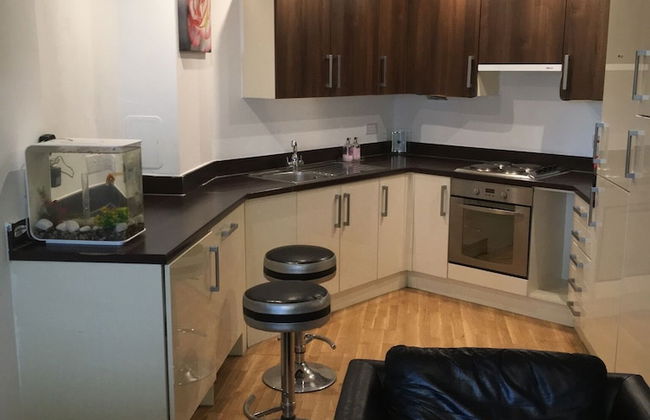 1 Bed Apt Near Canary Wharf London City Centre - Foto 10