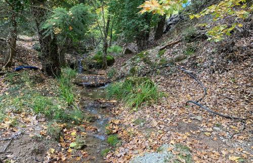 Σπίτι στο βουνό - Foto 34