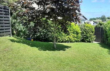 Eifel Dream KleineNims - Foto 14