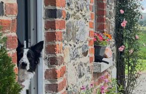 Whitehill Cottage - Photo 1