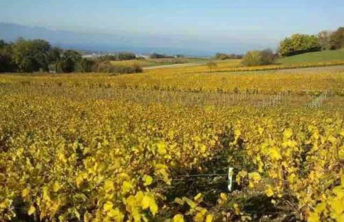 La Martichouette Chambres dans Maison vue sur Lac - Photo 41